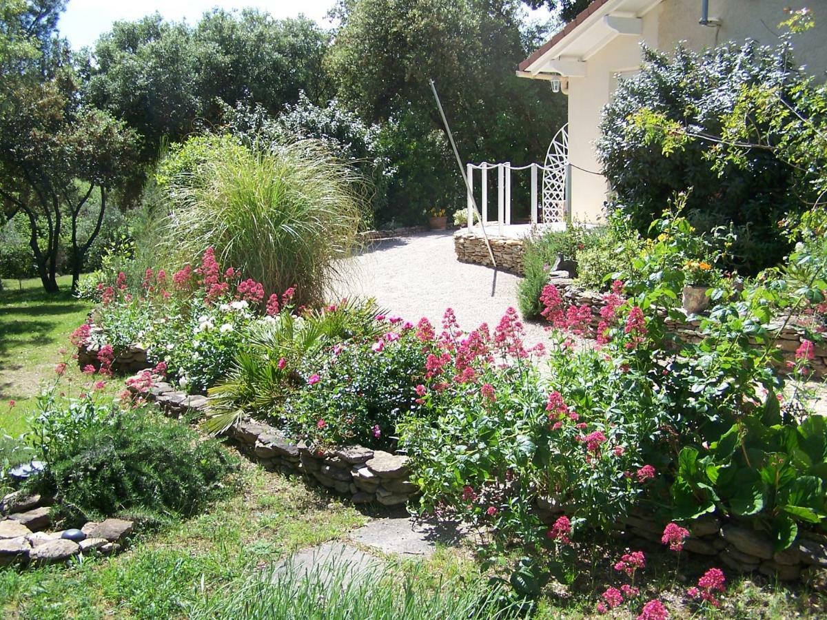 Les Florides Leilighet LʼIsle-sur-la-Sorgue Eksteriør bilde